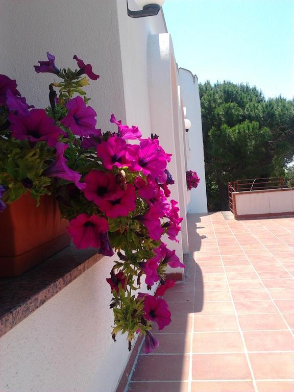 B&b Masseria Nova Torre San Giovanni Ugento Esterno foto